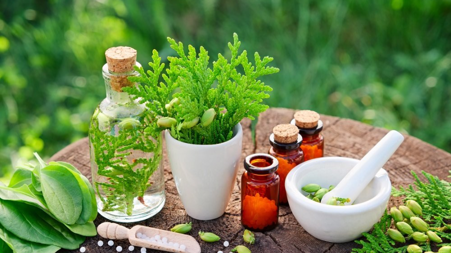 Know About Ayurvedic Medicines and Its Increasing Demand